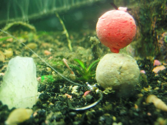 Le rapport sur la pêche de Belgorod